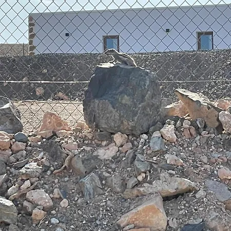 Violante Apartmán *