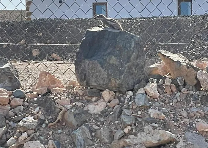 Violante Апартаменты *