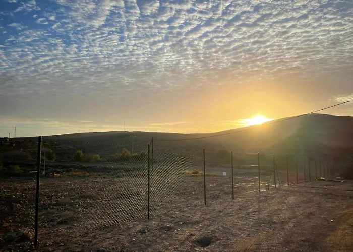 Violante * Туйнехе