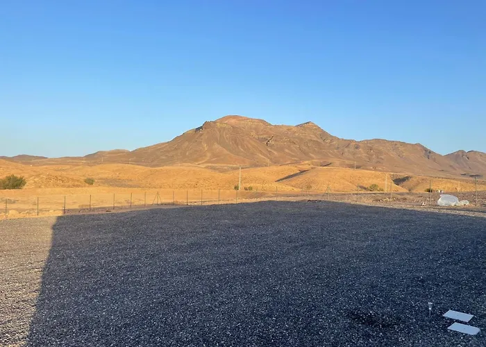 Violante Туйнехе